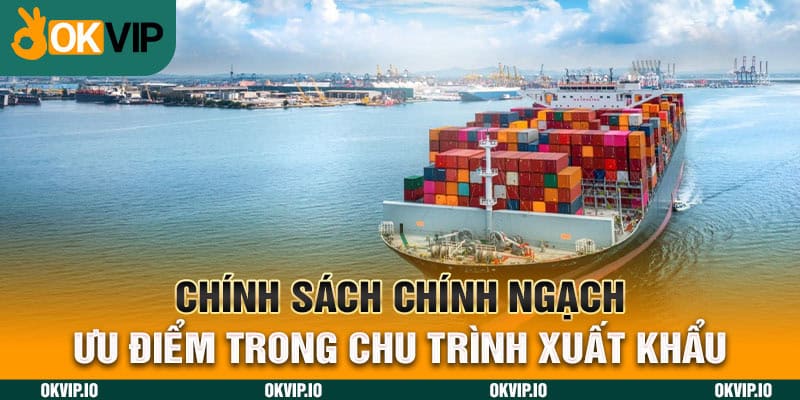 Chính Sách Chính Ngạch – Ưu Điểm Trong Chu Trình Xuất Khẩu - hình ảnh - jvggcbyzf.top