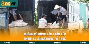 Đối tác - OKVIP - hình ảnh - jvggcbyzf.top