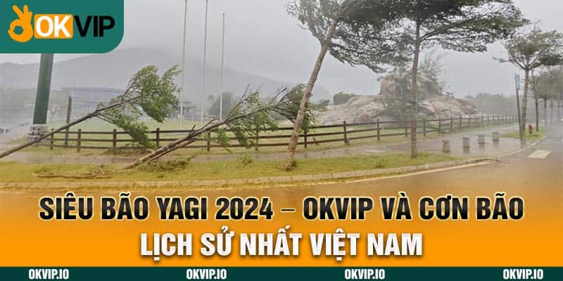 Siêu Bão Yagi 2024 – OKVIP và Cơn Bão Lịch Sự Nhất Việt Nam - hình ảnh - jvggcbyzf.top Siêu Bão Yagi 2024 – OKVIP và Cơn Bão Lịch Sự Nhất Việt Nam - hình ảnh - jvggcbyzf.top