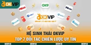 Đối tác - OKVIP - hình ảnh - jvggcbyzf.top
