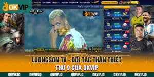 Đối tác - OKVIP - hình ảnh - jvggcbyzf.top