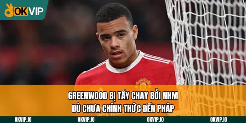 Greenwood Bị Tẩy Chay Bởi NHM Dù Chưa Chính Thức Đến Pháp - hình ảnh - jvggcbyzf.top Greenwood Bị Tẩy Chay Bởi NHM Dù Chưa Chính Thức Đến Pháp - hình ảnh - jvggcbyzf.top
