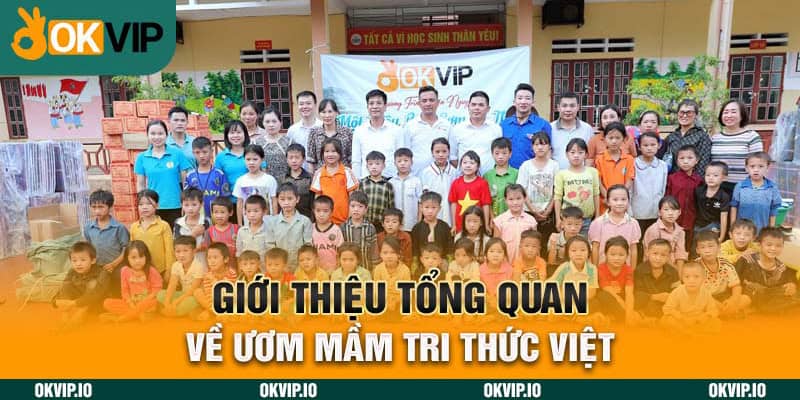OKVIP Ươm Mầm Tri Thức Việt – Xây Đắp Trí Thức Tương Lai - hình ảnh - jvggcbyzf.top OKVIP Ươm Mầm Tri Thức Việt – Xây Đắp Trí Thức Tương Lai - hình ảnh - jvggcbyzf.top