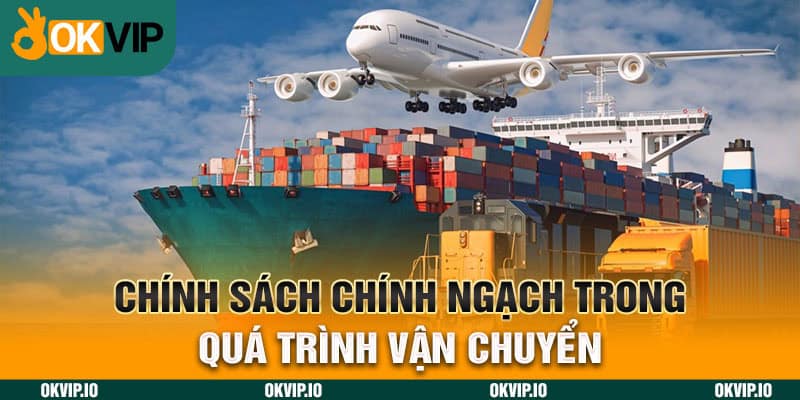 Chính Sách Chính Ngạch – Ưu Điểm Trong Chu Trình Xuất Khẩu - hình ảnh - jvggcbyzf.top