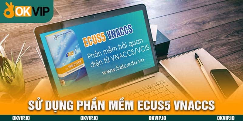 Chính Sách Chính Ngạch – Ưu Điểm Trong Chu Trình Xuất Khẩu - hình ảnh - jvggcbyzf.top