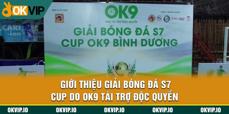 Giải Bóng Đá S7 Cup 2024 – Kết Nối Bùng Cháy Đam Mê OKVIP - hình ảnh - jvggcbyzf.top Giải Bóng Đá S7 Cup 2024 – Kết Nối Bùng Cháy Đam Mê OKVIP - hình ảnh - jvggcbyzf.top