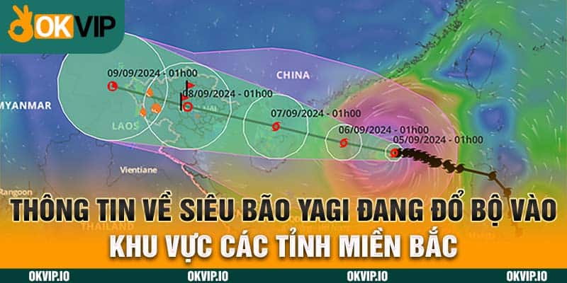 Tin tức - OKVIP - hình ảnh - jvggcbyzf.top Tin tức - OKVIP - hình ảnh - jvggcbyzf.top