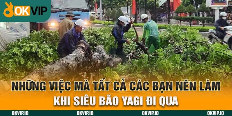 Siêu Bão Yagi 2024 – OKVIP và Cơn Bão Lịch Sự Nhất Việt Nam - hình ảnh - jvggcbyzf.top Siêu Bão Yagi 2024 – OKVIP và Cơn Bão Lịch Sự Nhất Việt Nam - hình ảnh - jvggcbyzf.top