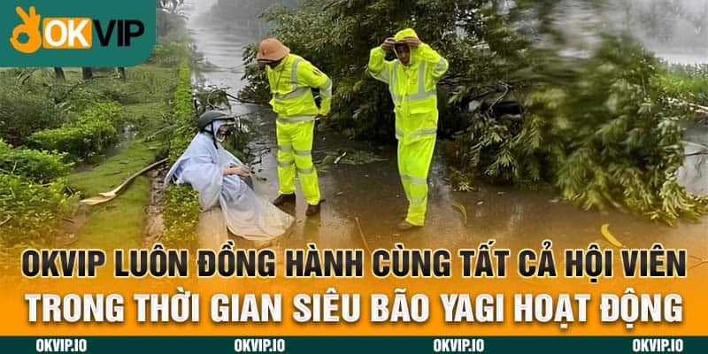 Siêu Bão Yagi 2024 – OKVIP và Cơn Bão Lịch Sự Nhất Việt Nam - hình ảnh - jvggcbyzf.top Siêu Bão Yagi 2024 – OKVIP và Cơn Bão Lịch Sự Nhất Việt Nam - hình ảnh - jvggcbyzf.top