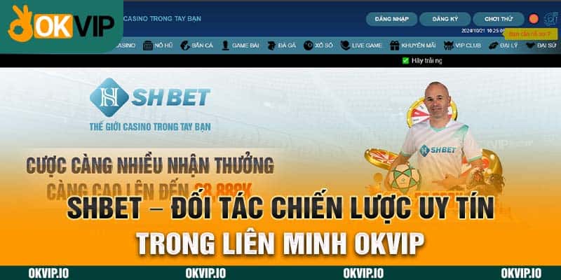 Hệ Sinh Thái OKVIP – Top 7 Đối Tác Chiến Lược Uy Tín - hình ảnh - jvggcbyzf.top Hệ Sinh Thái OKVIP – Top 7 Đối Tác Chiến Lược Uy Tín - hình ảnh - jvggcbyzf.top
