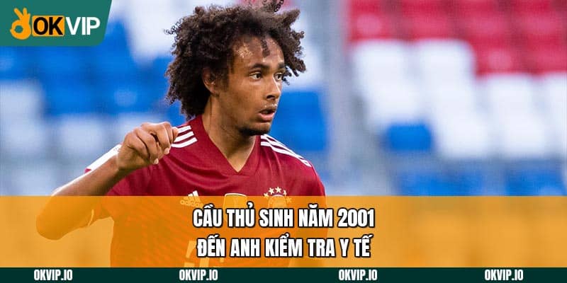 Zirkzee Đến Anh Kiểm Tra Y Tế, MU Sắp Nổ Bom Tấn Năm 2024 - hình ảnh - jvggcbyzf.top Zirkzee Đến Anh Kiểm Tra Y Tế, MU Sắp Nổ Bom Tấn Năm 2024 - hình ảnh - jvggcbyzf.top