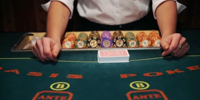 Chủ Quản Dealer – Công Việc Với Mức Lương Hấp Dẫn 2025 - hình ảnh - jvggcbyzf.top Chủ Quản Dealer – Công Việc Với Mức Lương Hấp Dẫn 2025 - hình ảnh - jvggcbyzf.top