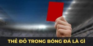 Thể Thao OKVIP - OKVIP - hình ảnh - jvggcbyzf.top
